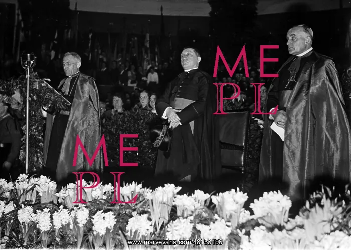 : Prof. Nikolaus Bares : Prof. Nikolaus Bares