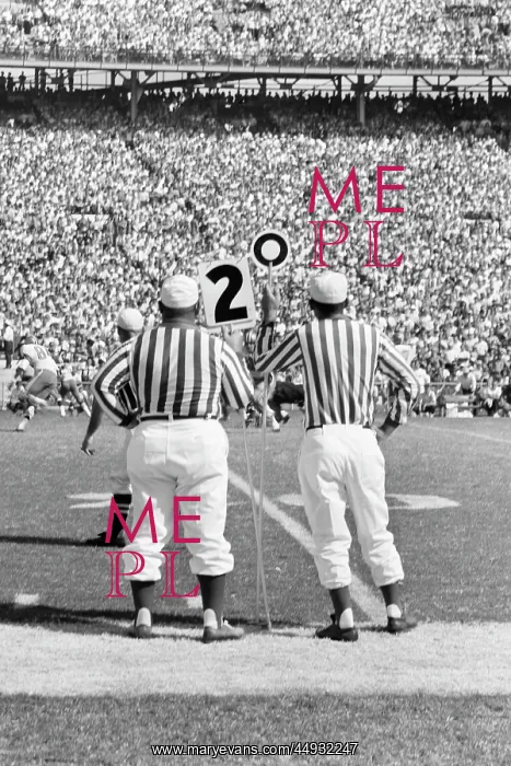 : Professional Football Game from Sidelines Referees Crowded : Professional Football Game from Sidelines Referees Crowded