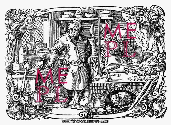  : professions, cook, The chef, woodcut by Jost