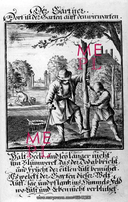: professions, gardener, copper engraving from : professions, gardener, copper engraving from