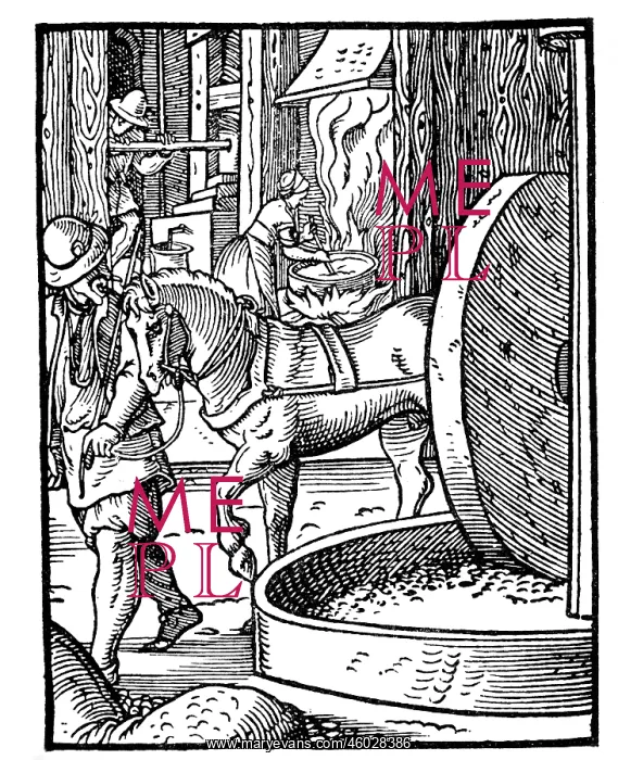: professions, oilmaker, woodcut, folio 98, from : professions, oilmaker, woodcut, folio 98, from