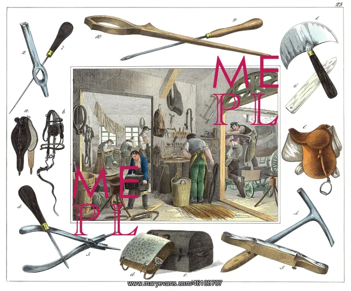 : Professions Series : Professions Series