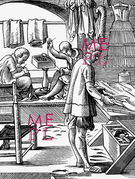 : professions, tailor, woodcut, Staendebuch by : professions, tailor, woodcut, Staendebuch by