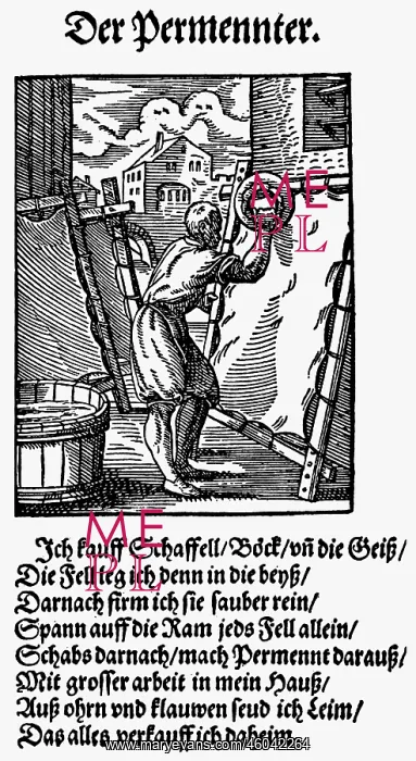 : professions, vellum maker, woodcut, Staendebuch : professions, vellum maker, woodcut, Staendebuch