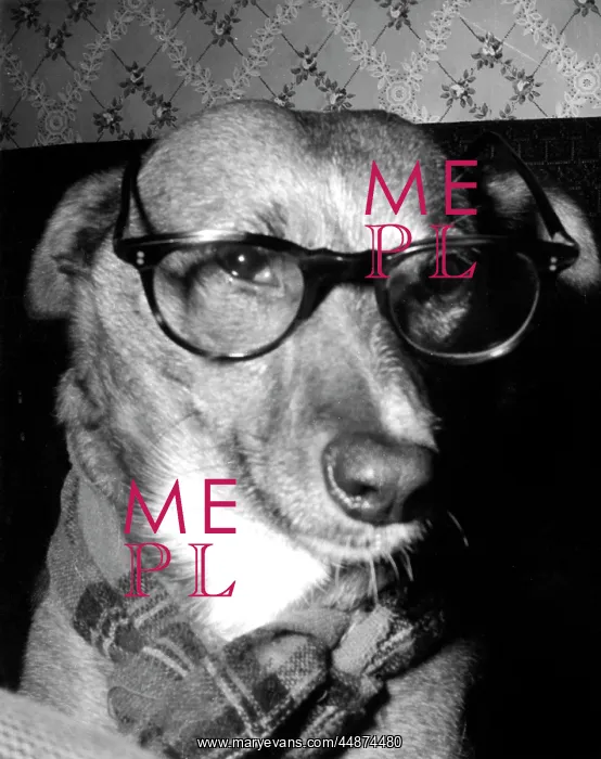 : PROFESSOR DOG : PROFESSOR DOG