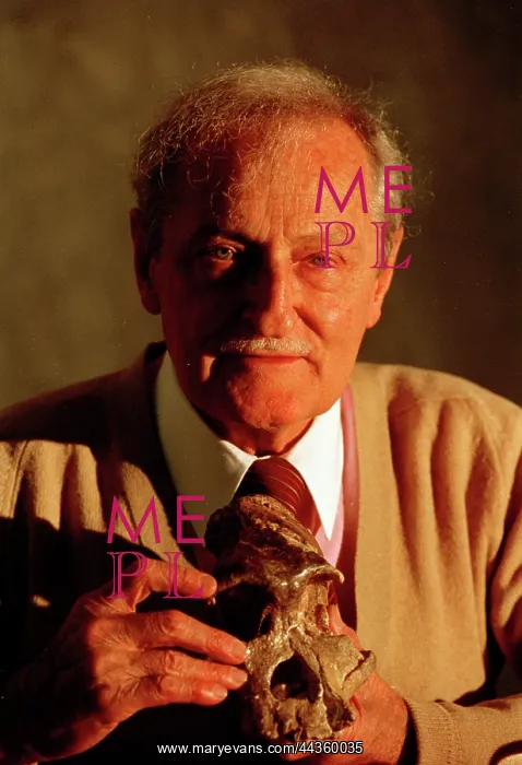 : Professor Tobias with Mrs Ples. skull : Professor Tobias with Mrs Ples. skull