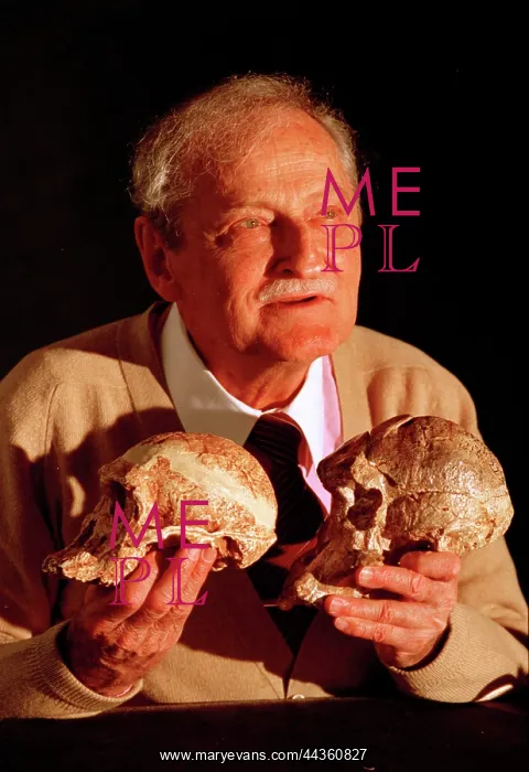 : Professor Tobias with Mrs Ples. and another skull : Professor Tobias with Mrs Ples. and another skull