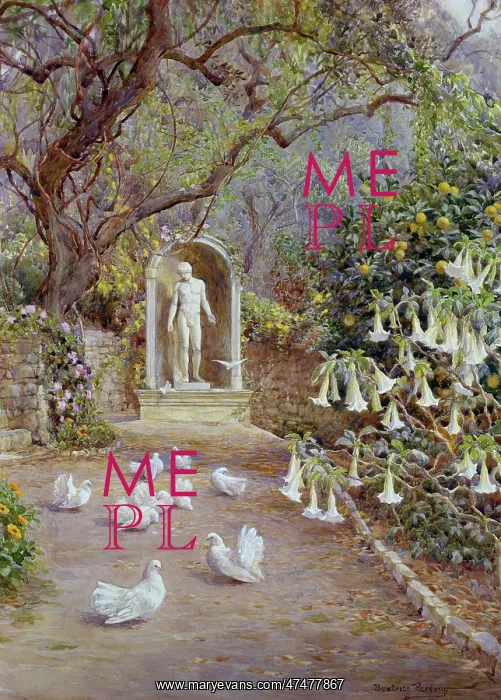 : In the Professors Garden, Bordighera : In the Professors Garden, Bordighera