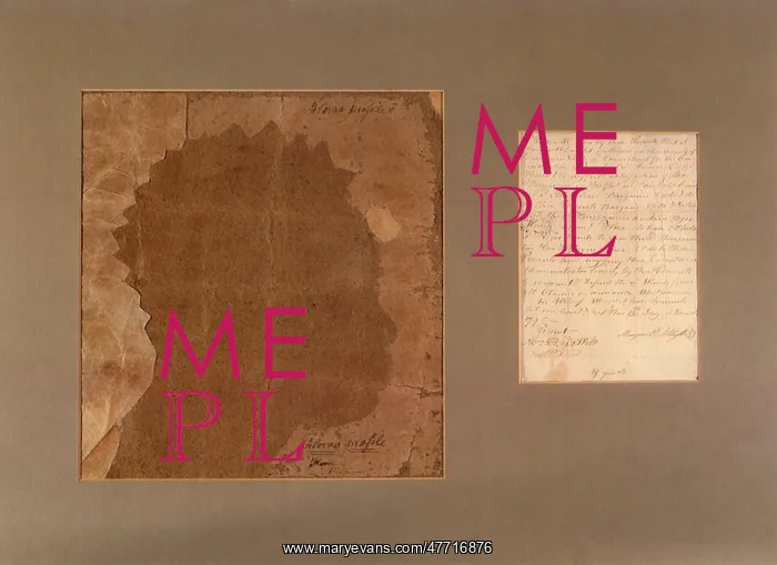  : Profile of Black Woman 1796
