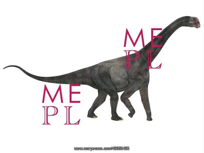 : Side profile of a Brontomerus dinosaur : Side profile of a Brontomerus dinosaur