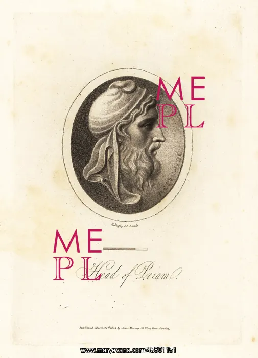 : Profile bust of King Priam of Troy : Profile bust of King Priam of Troy