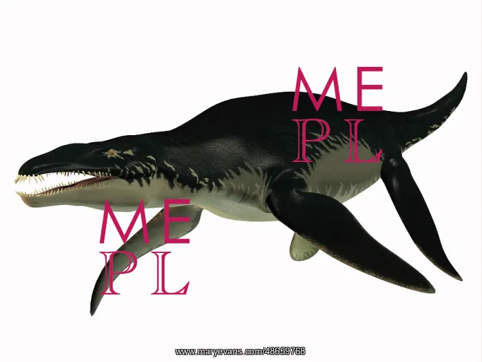 : Side profile of an extinct Liopleurodon reptile : Side profile of an extinct Liopleurodon reptile