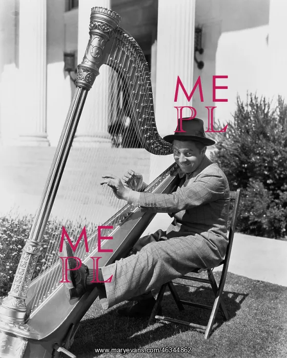 : Profile of a man playing a harp and smiling : Profile of a man playing a harp and smiling