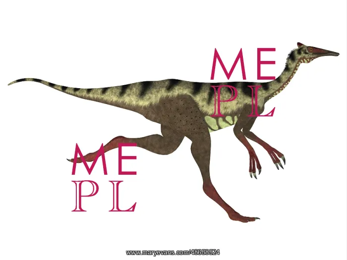 : Side profile of Pelecanimimus dinosaur : Side profile of Pelecanimimus dinosaur
