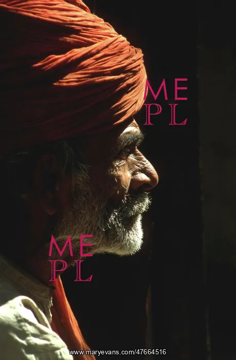 : Profile portrait of beared Indian man : Profile portrait of beared Indian man