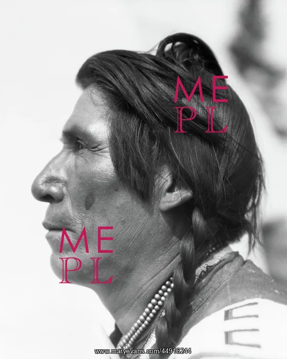 : Profile Portrait of Chief Sitting Eagle Native American : Profile Portrait of Chief Sitting Eagle Native American
