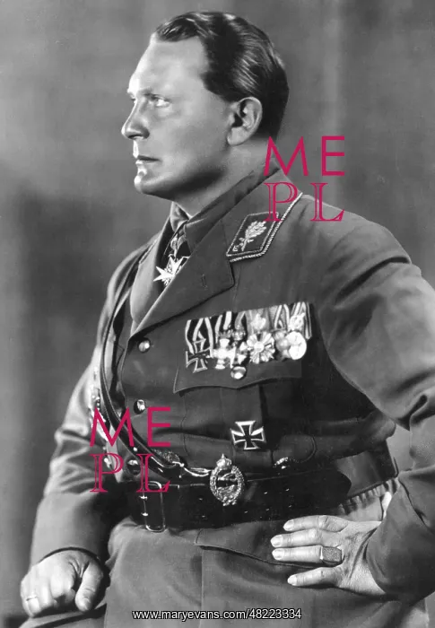 : Profile portrait of Hermann Gnring, 1933 : Profile portrait of Hermann Gnring, 1933
