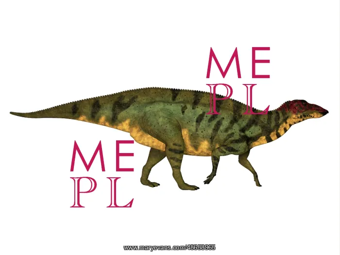 : Side profile of a Shuangmiaosaurus dinosaur : Side profile of a Shuangmiaosaurus dinosaur