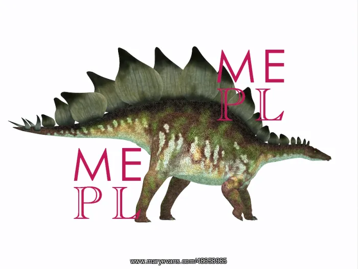 : Side profile of a Stegosaurus dinosaur : Side profile of a Stegosaurus dinosaur