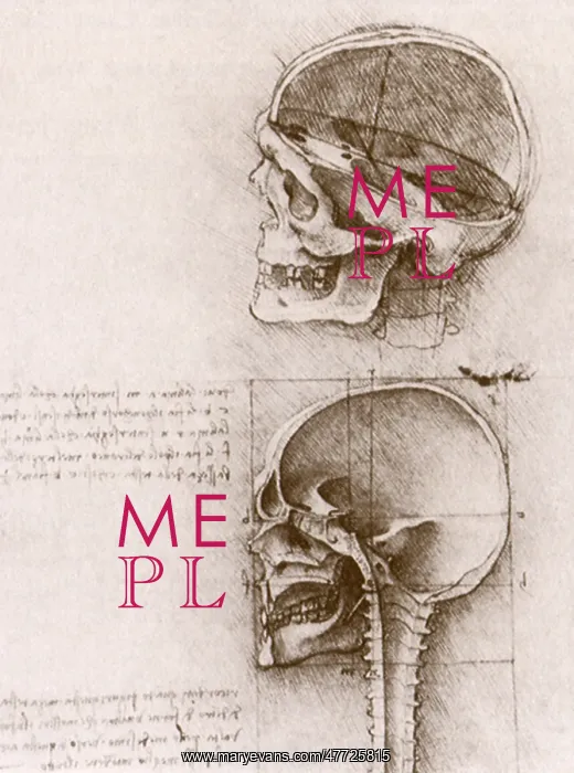 : Profile studies of a skull, by Leonardo da Vinci : Profile studies of a skull, by Leonardo da Vinci
