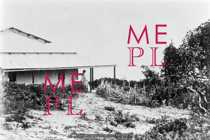 : Profile view of a woman on a verandah : Profile view of a woman on a verandah