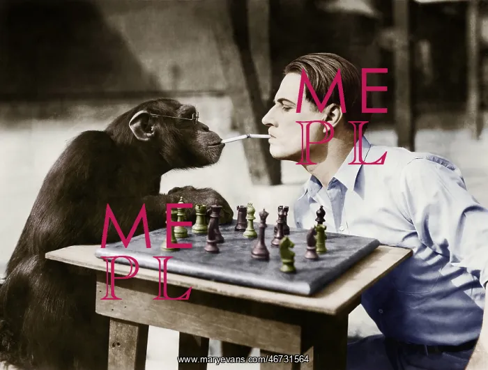 : Profile of a young man and a chimpanzee smoking : Profile of a young man and a chimpanzee smoking