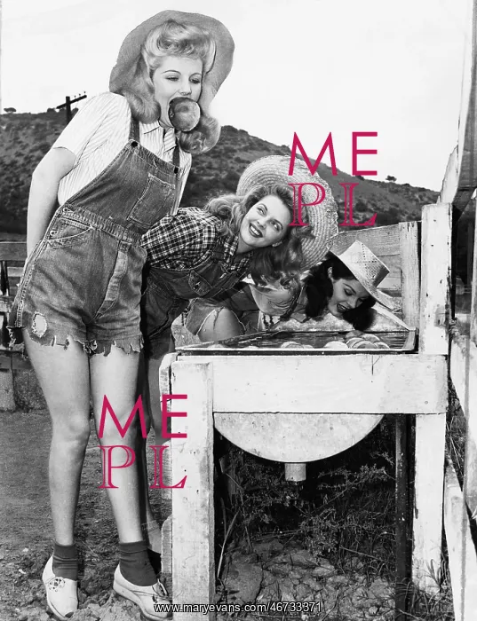 : Profile of three young women bobbing for apples : Profile of three young women bobbing for apples
