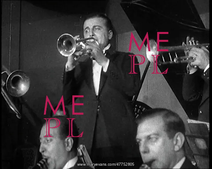  : Prohibition