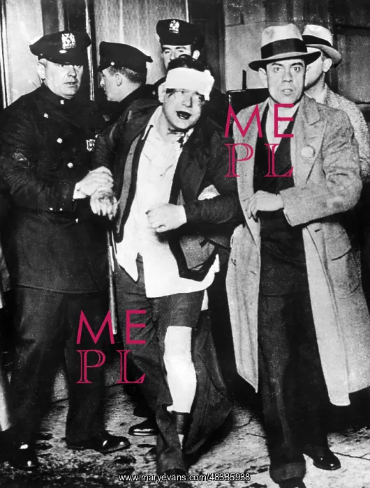 : Prohibition: A bootlegger is being arrested, New York, 1932 : Prohibition: A bootlegger is being arrested, New York, 1932