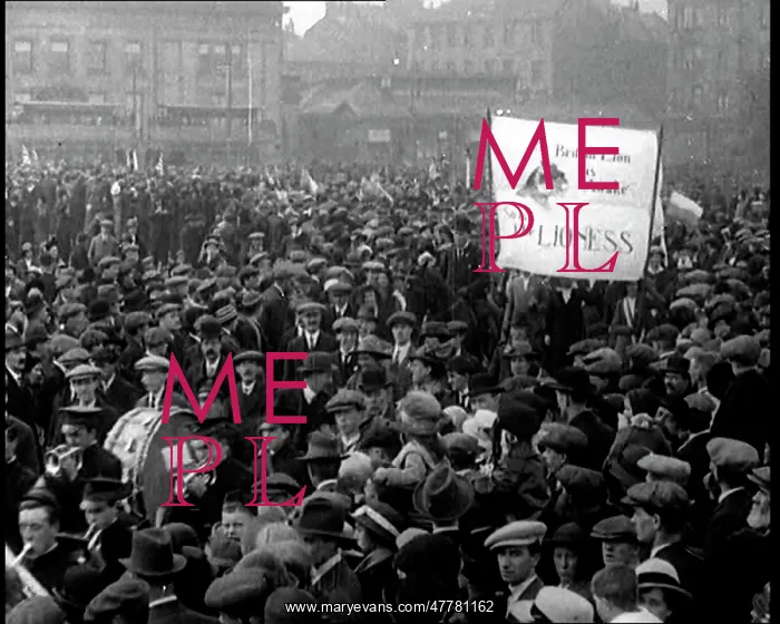 : Prohibitionist Movement : Prohibitionist Movement