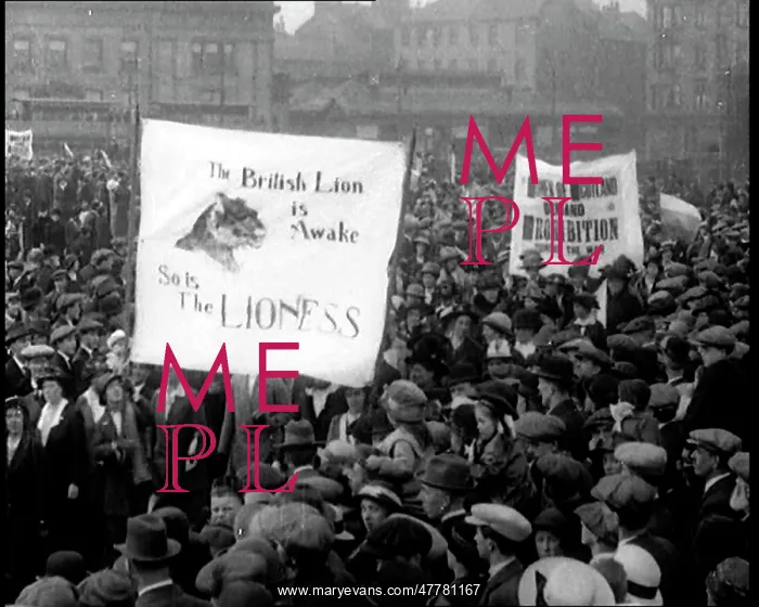 : Prohibitionist Movement : Prohibitionist Movement