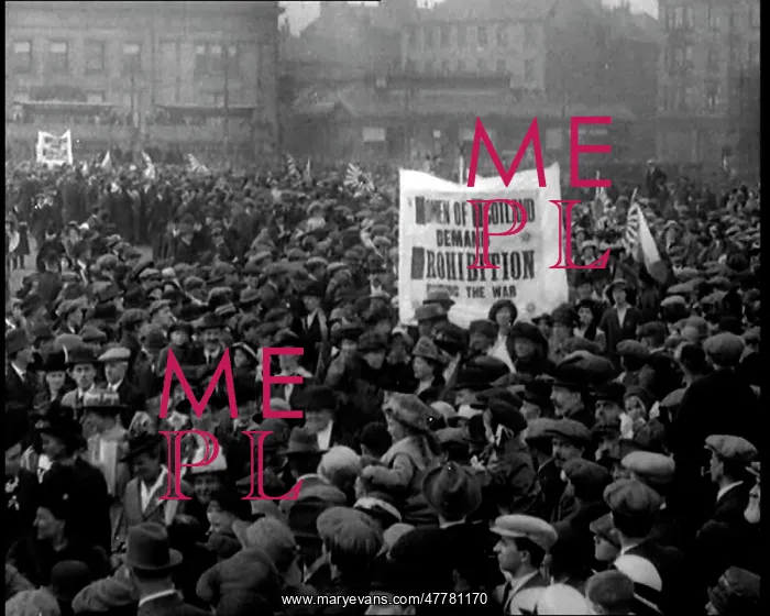 : Prohibitionist Movement : Prohibitionist Movement