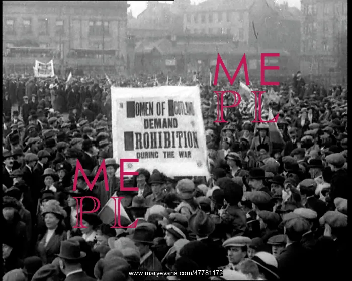 : Prohibitionist Movement : Prohibitionist Movement