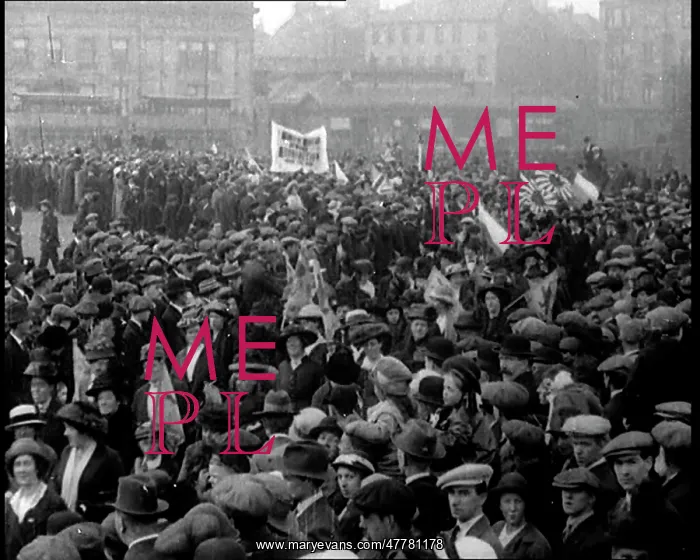 : Prohibitionist Movement : Prohibitionist Movement