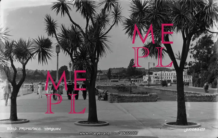 : Promenade in Torquay : Promenade in Torquay