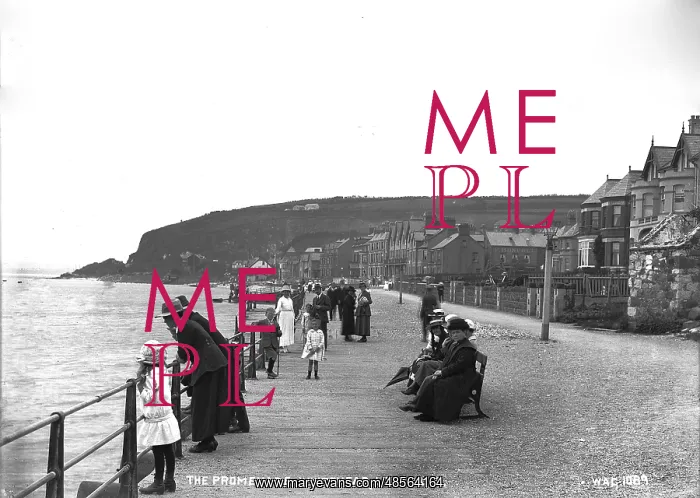 : The Promenade, Whitehead, Looking S : The Promenade, Whitehead, Looking S