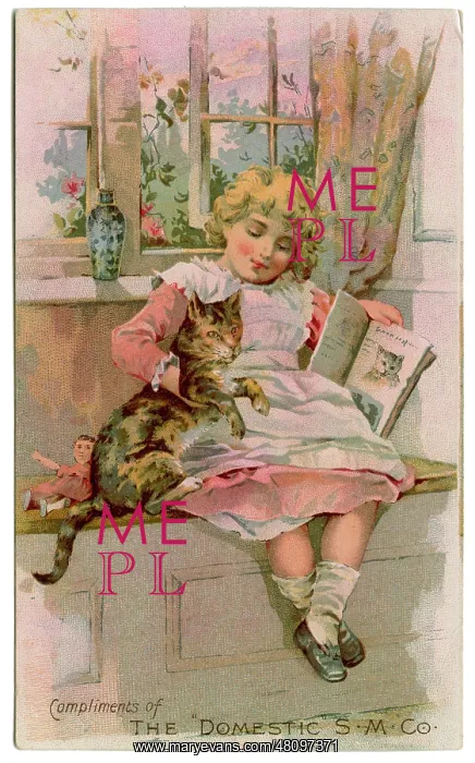 : Promotional card, The Domestics M Co : Promotional card, The Domestics M Co