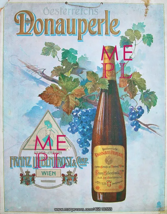 : Promotional poster for Donauperle : Promotional poster for Donauperle
