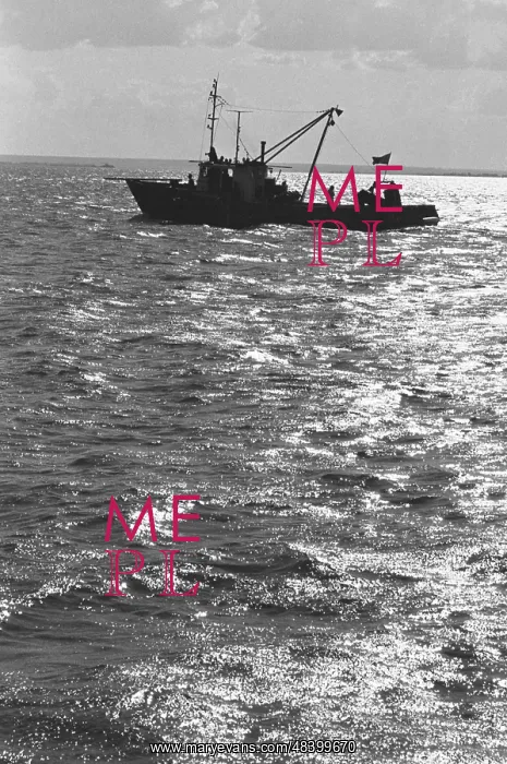 : Promyslovyy-2 ship : Promyslovyy-2 ship