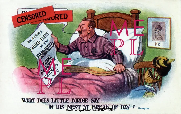 : Propaganda cartoon - The Kaiser shocked at War Developments : Propaganda cartoon - The Kaiser shocked at War Developments