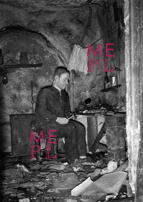 : The propaganda exhibition Das Sowjetparadies : The propaganda exhibition Das Sowjetparadies