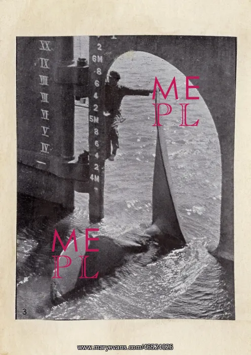 : Propeller and rudder of large ship : Propeller and rudder of large ship
