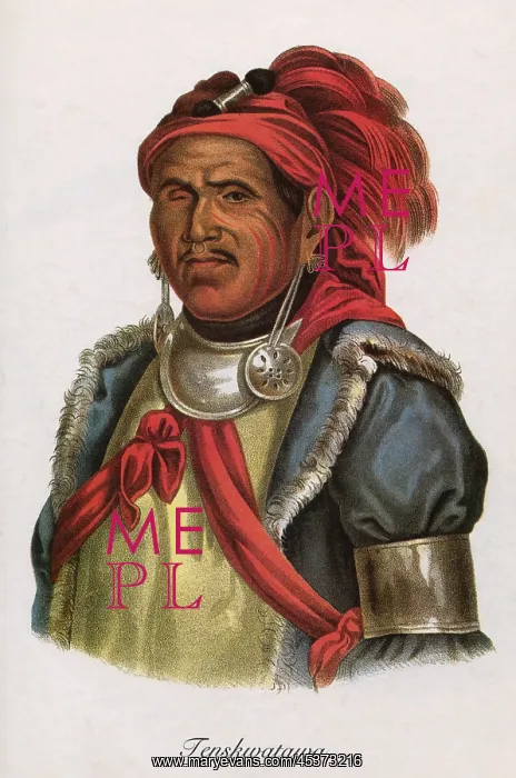 : The Prophet, also called Tenskwatawa, in an : The Prophet, also called Tenskwatawa, in an