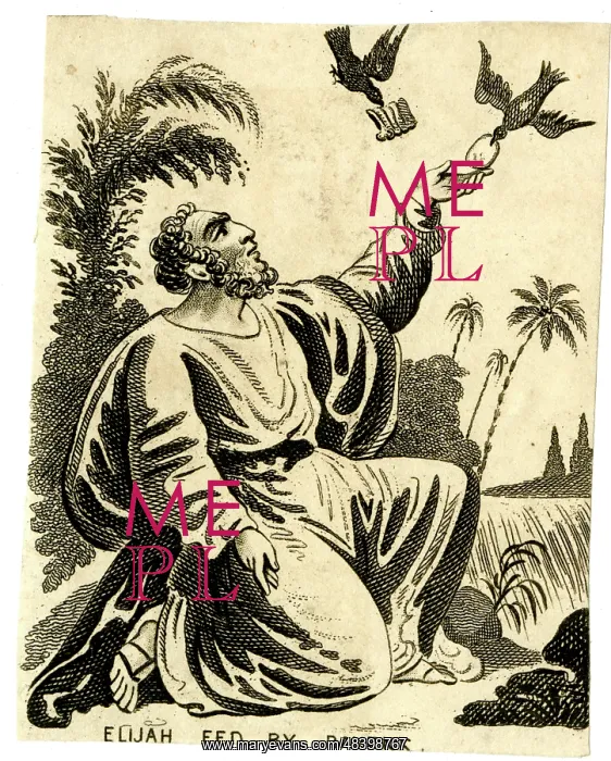  : The prophet Elijah fed by ravens