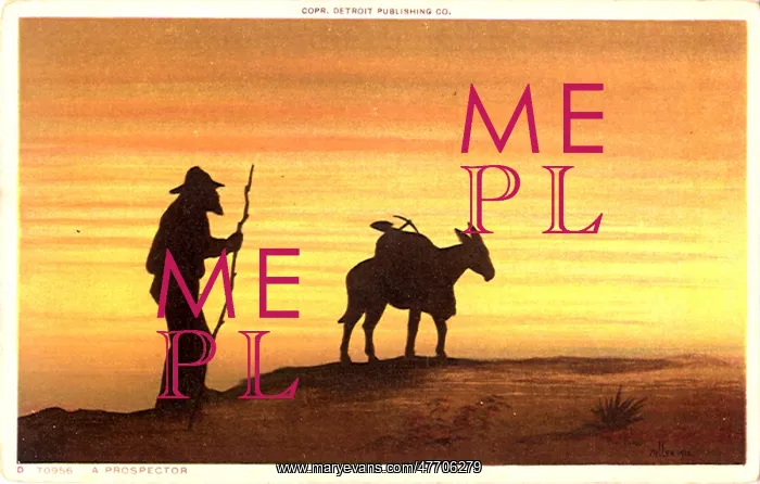  : Prospector and Mule