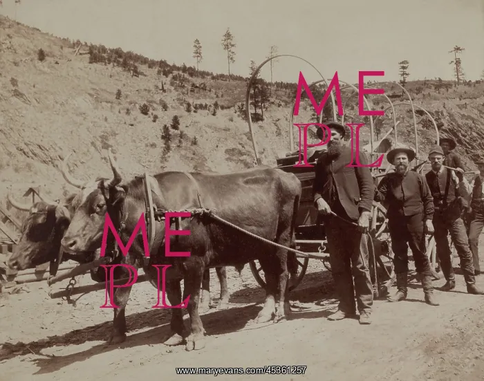 : Five prospectors setting out to the South Dakota : Five prospectors setting out to the South Dakota