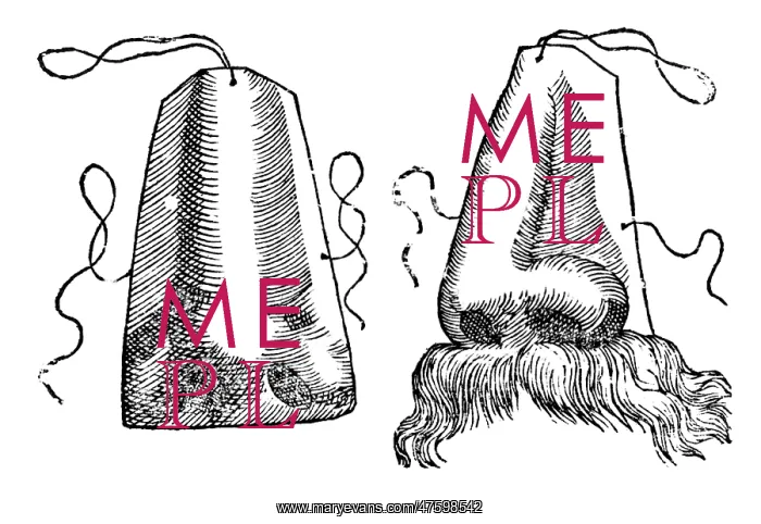 : Prosthetic Noses, 1628 : Prosthetic Noses, 1628