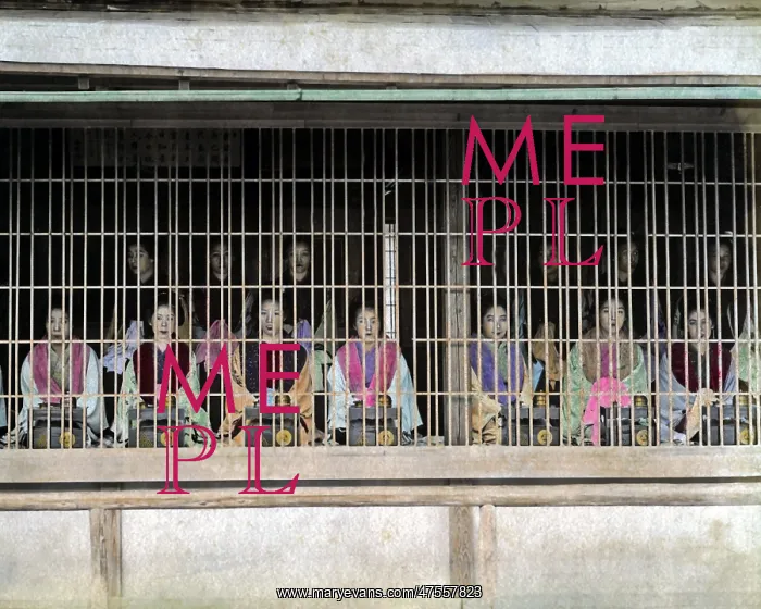  : Prostitutes on display, Japan