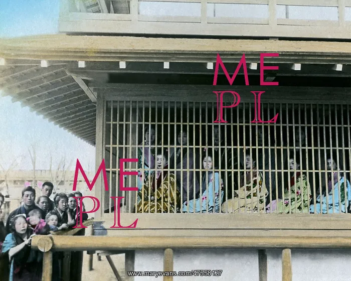 : Prostitutes on display, Japan : Prostitutes on display, Japan