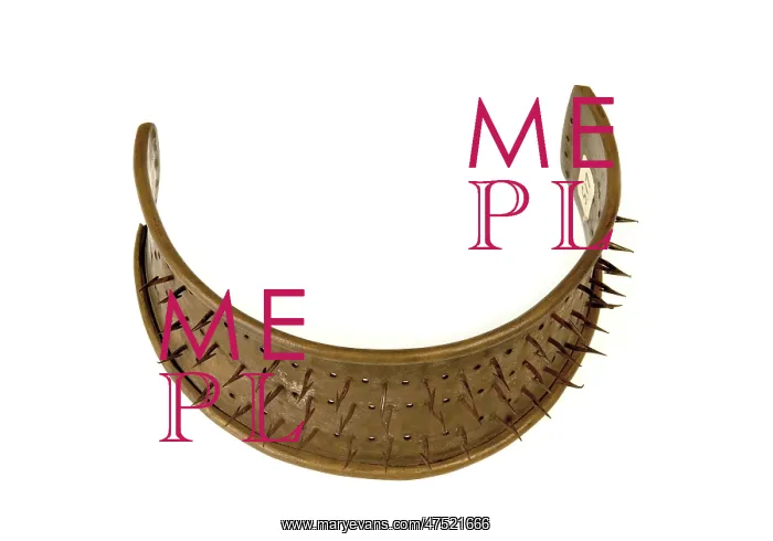 : Protective collar against garrotting : Protective collar against garrotting